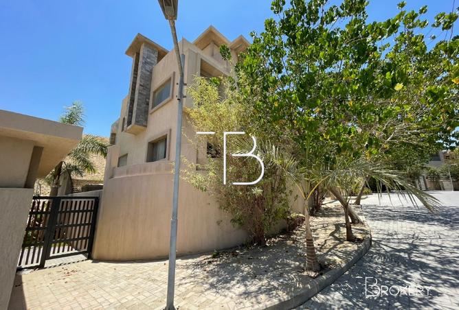 8393951 - صورة العقار 2