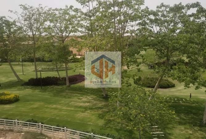 8276868 - Property Image 2