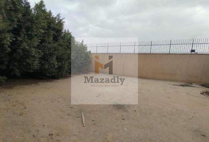 8181678 - Property Image 3