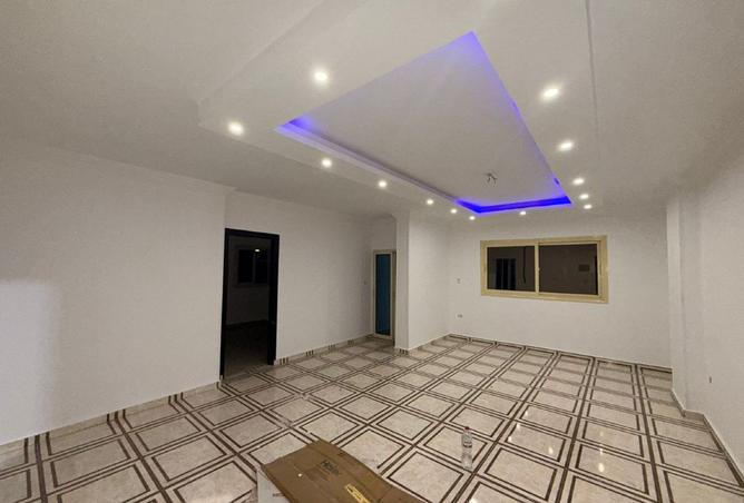 8033081 - Property Image 3
