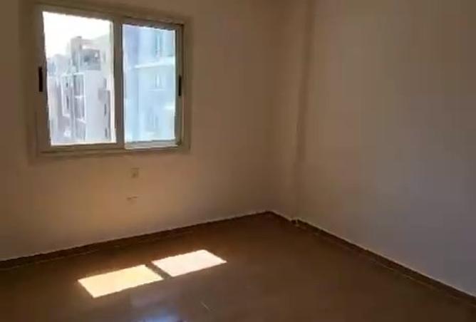 8243537 - Property Image 3