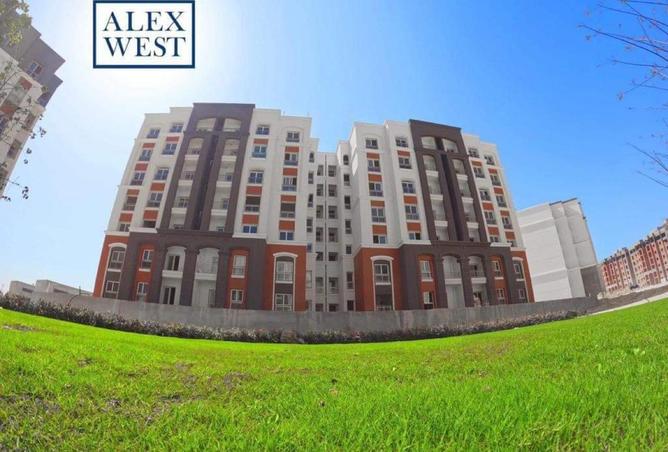 8251846 - Property Image 2