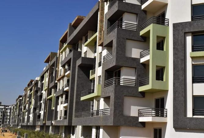 8262239 - Property Image 3