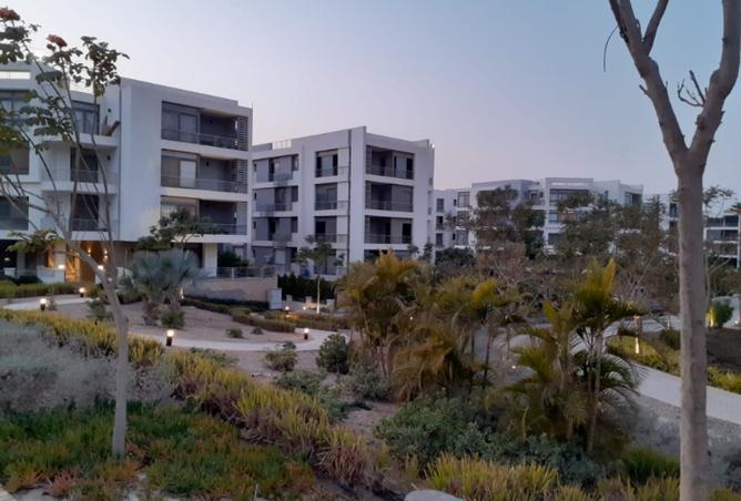 8406496 - صورة العقار 3