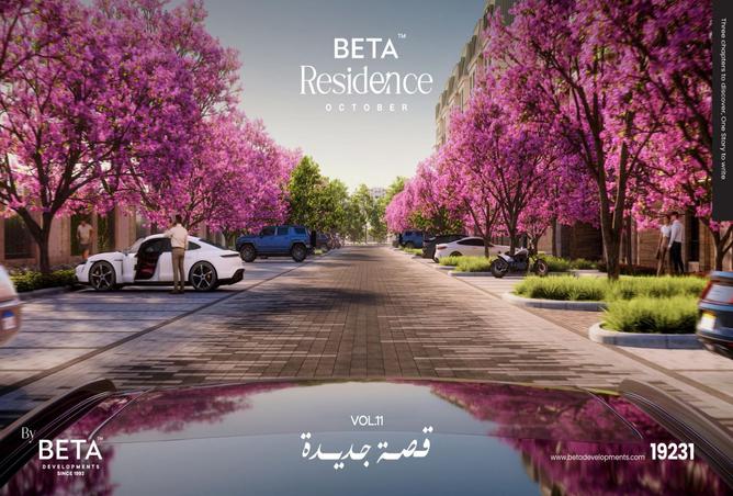 7969150 - صورة العقار 3