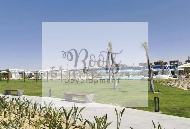 7981269 - صورة العقار 3