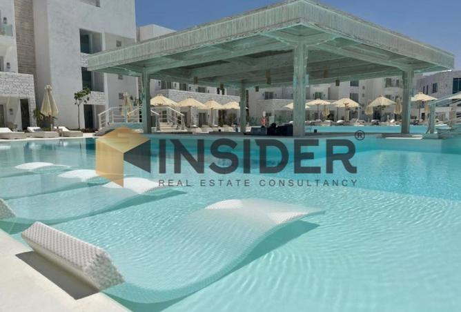 8246490 - Property Image 3