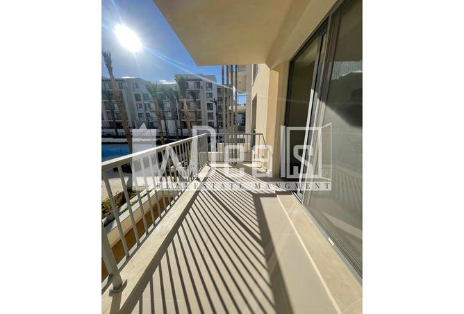 7976668 - Property Image 3