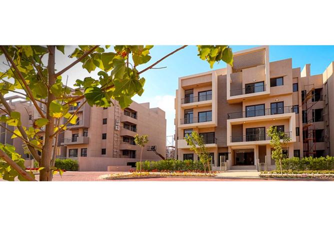 8059669 - الصورة الرئيسية للعقار