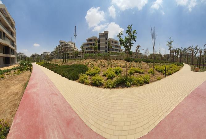 8156125 - صورة العقار 3