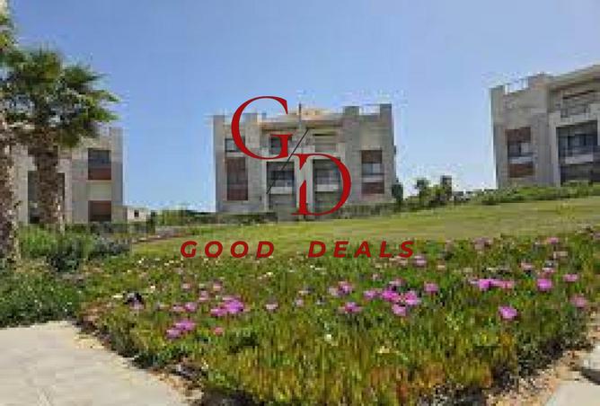 8224320 - صورة العقار 3