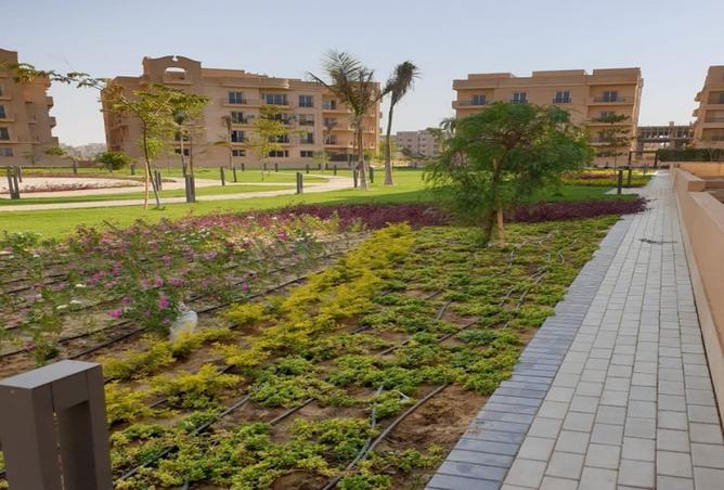 8162924 - صورة العقار 3