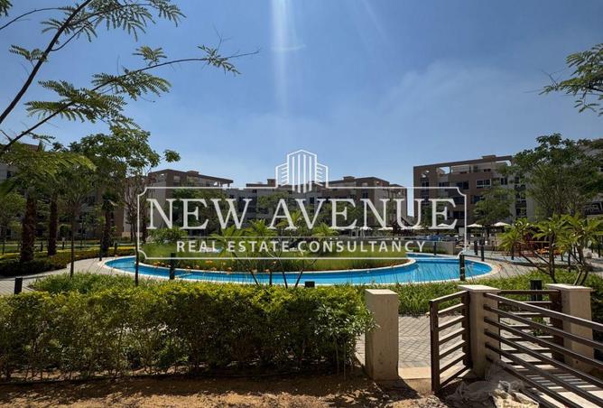 8226081 - Property Image 3