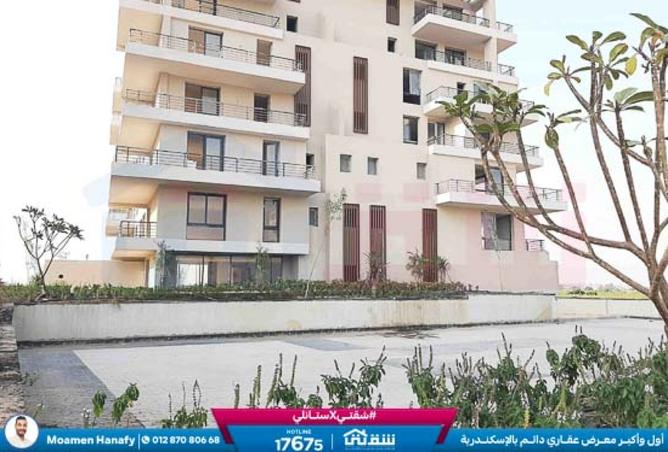 8517501 - صورة العقار 2