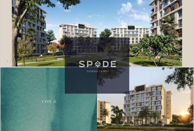 8176695 - Property Image 2