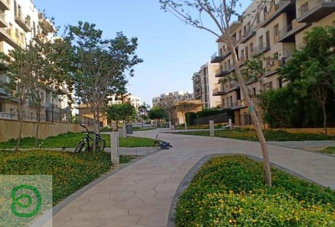 7940966 - Property Image 3