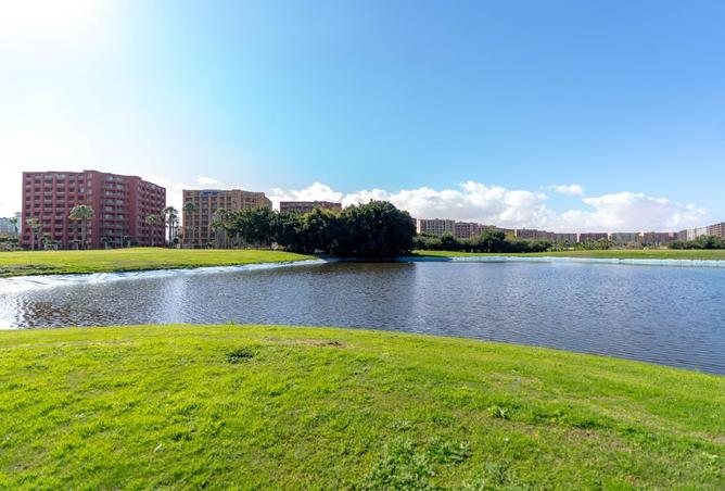 8149571 - صورة العقار 3