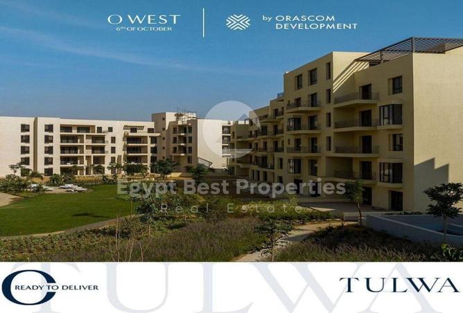 8179486 - Property Image 3