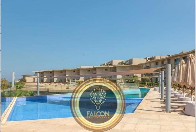 8502478 - Property Image 3