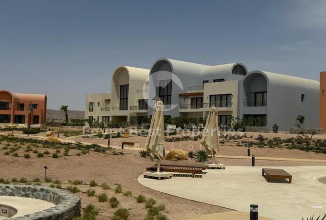 8450130 - صورة العقار 3