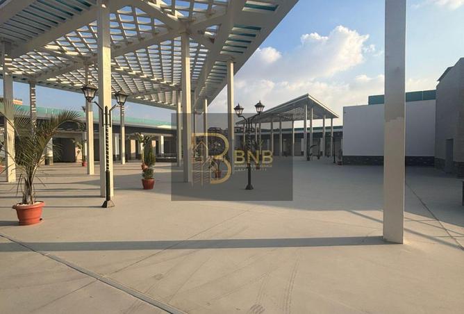 8356199 - صورة العقار 2