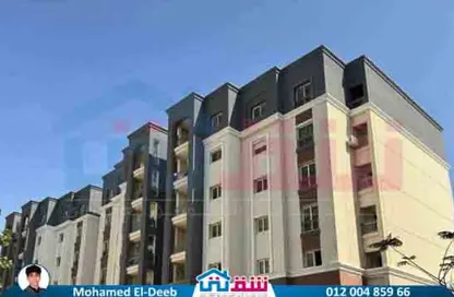 Apartment - 3 Bedrooms - 2 Bathrooms for sale in Alex West - Alexandria Compounds - Alexandria