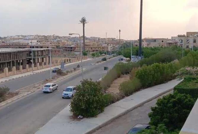 7928065 - صورة العقار 2