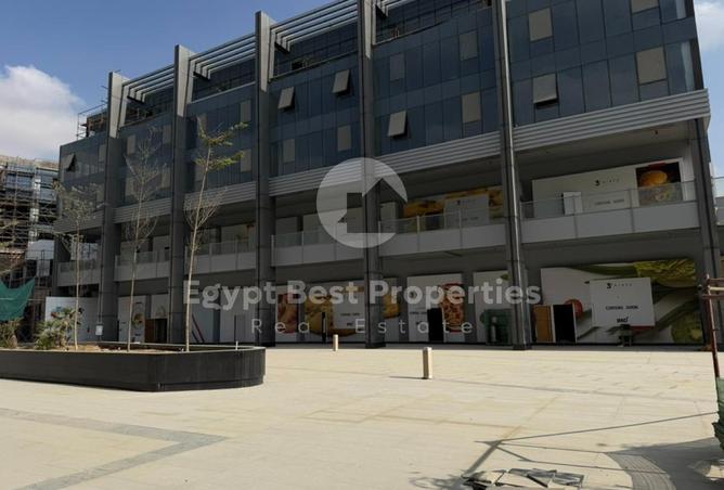 8391419 - Property Image 3