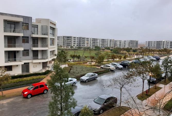 7923611 - صورة العقار 2