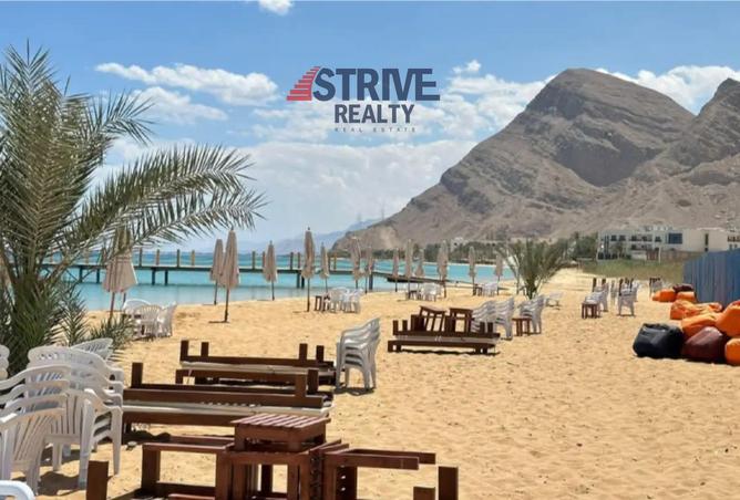 8363622 - صورة العقار 2