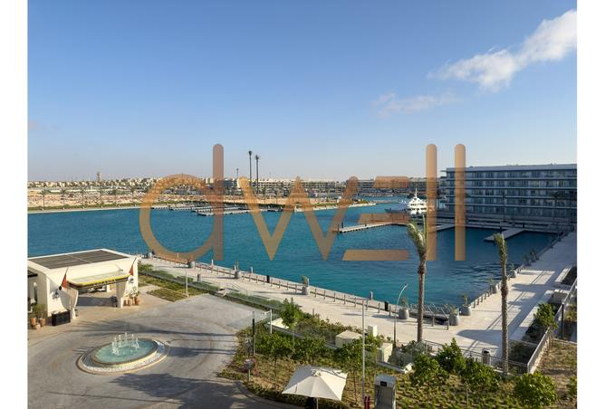 8484739 - صورة العقار 3