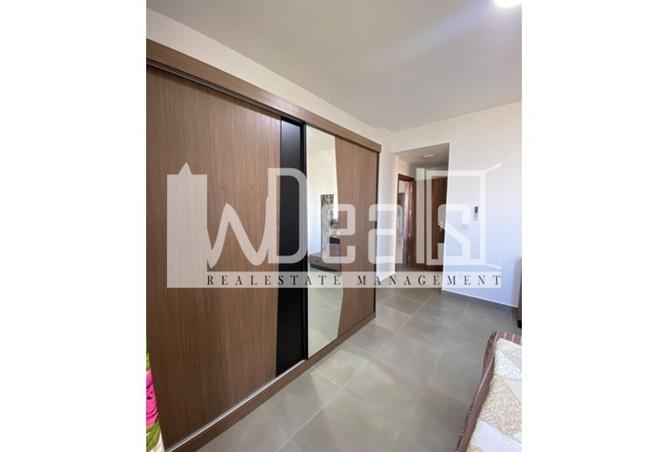 8472833 - Property Image 3