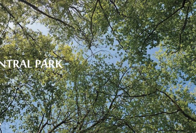 8220592 - صورة العقار 2