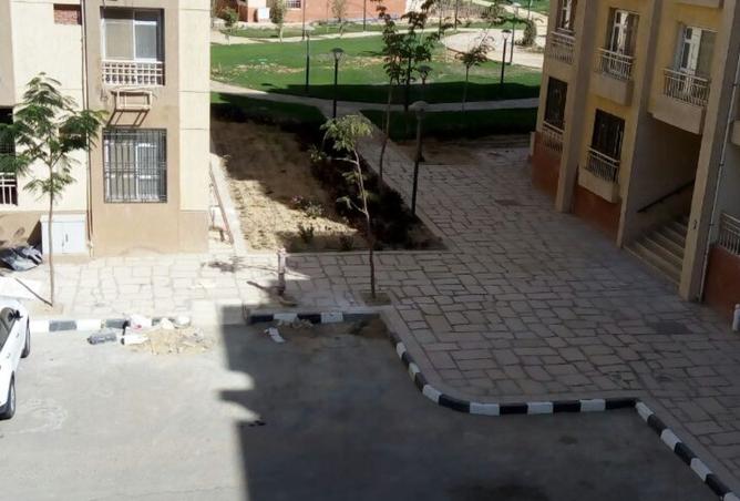 8183079 - Property Image 3