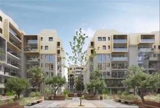 7970937 - Property Image 3