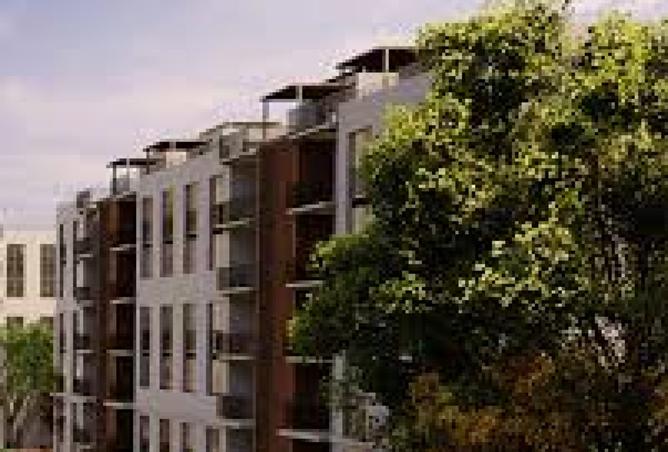 8482834 - Property Image 2