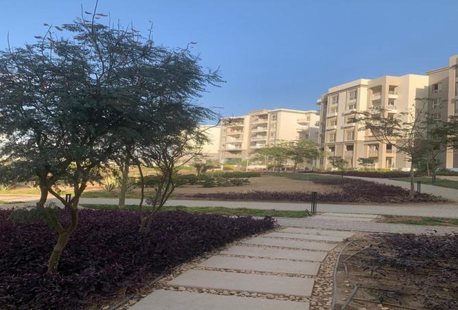 8353193 - صورة العقار 3