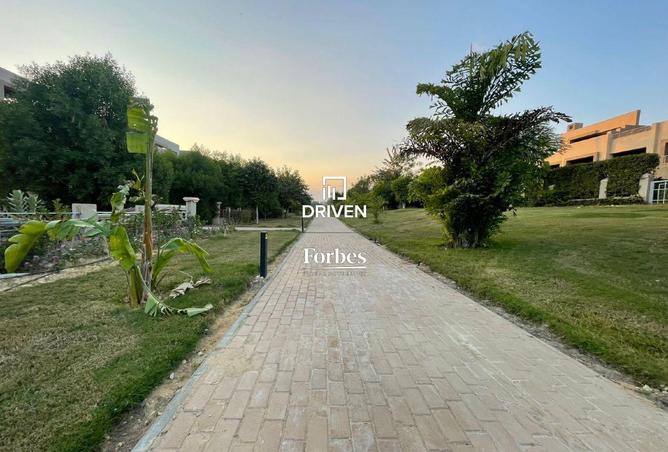 8067784 - صورة العقار 3