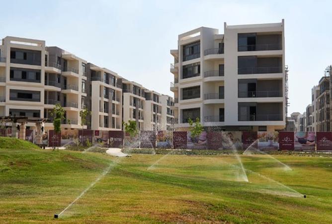 8302579 - Property Image 3