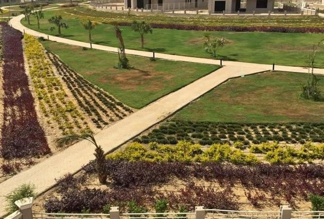 8205206 - Property Image 3