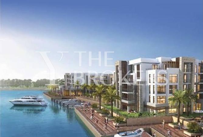 8196553 - Property Image 2