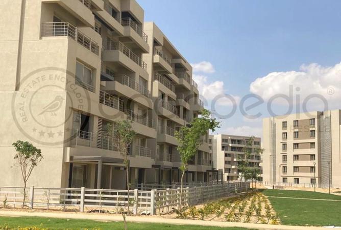 8322166 - Property Image 3