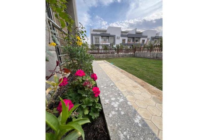 8495409 - صورة العقار 2