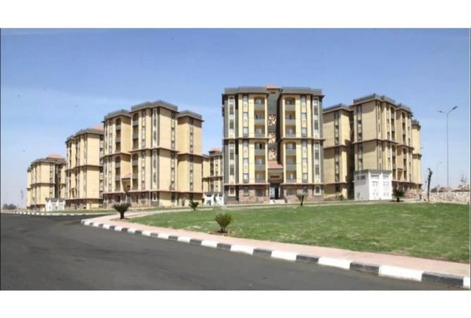8015304 - صورة العقار 3