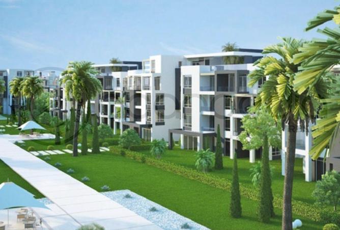 8206927 - Property Image 3