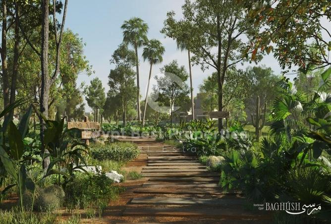 7954987 - صورة العقار 2