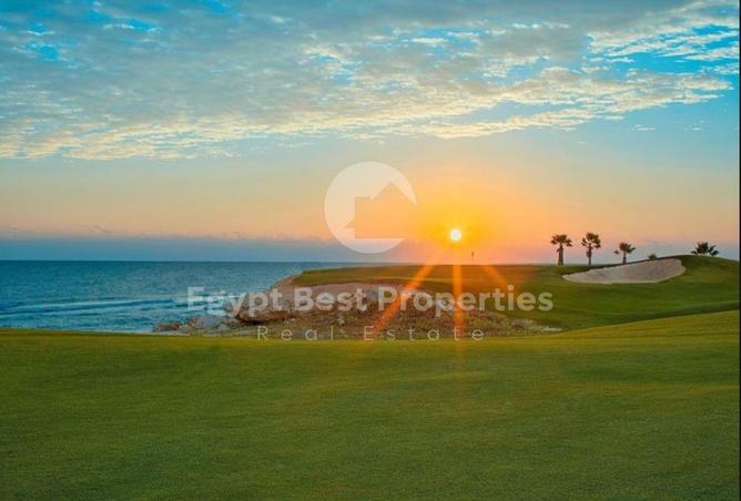 8421777 - Property Image 3