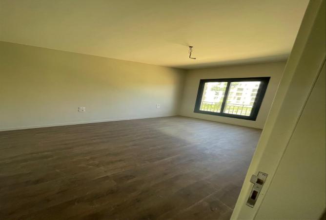 8071365 - Property Image 2