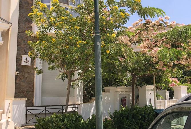 7907637 - صورة العقار 3