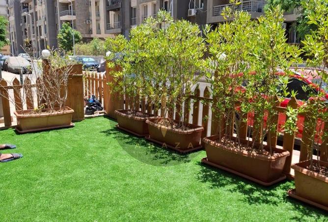 8161442 - Property Image 3